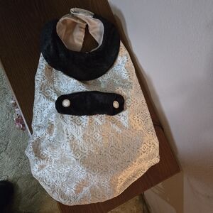 Elegant Cream & Black Velvet Dog Coat